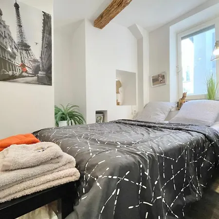Nice T2 In Hyper Centre Recently Renovated #F5Bis Apartment Grenoble