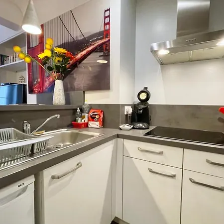Nice T2 In Hyper Centre Recently Renovated #F5Bis Appartement Grenoble